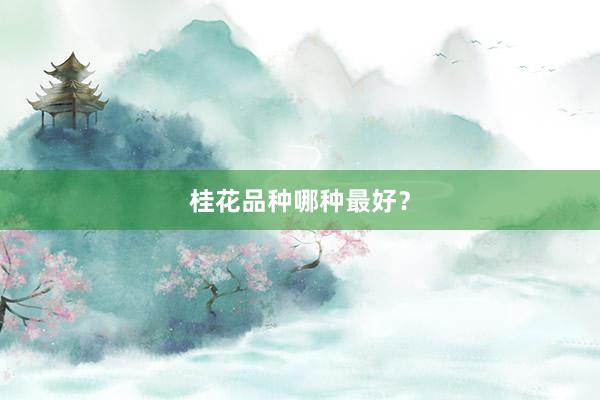 桂花品种哪种最好？